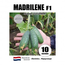 МАДРІЛЕН F1 / MADRILENE F1 МАДРІЛЕН F1 / MADRILENE F1